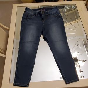 Torrid Skinny Jeans